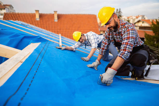 Gutter Installation and Roofing in Blakely, PA
