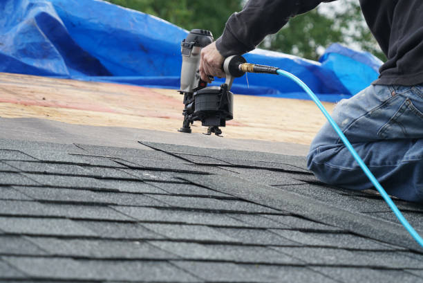 Roof Gutter Cleaning in Blakely, PA